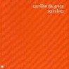 Carrilho da Graça - Serralves