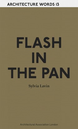 Architecture Words 13 Flash in the Pan