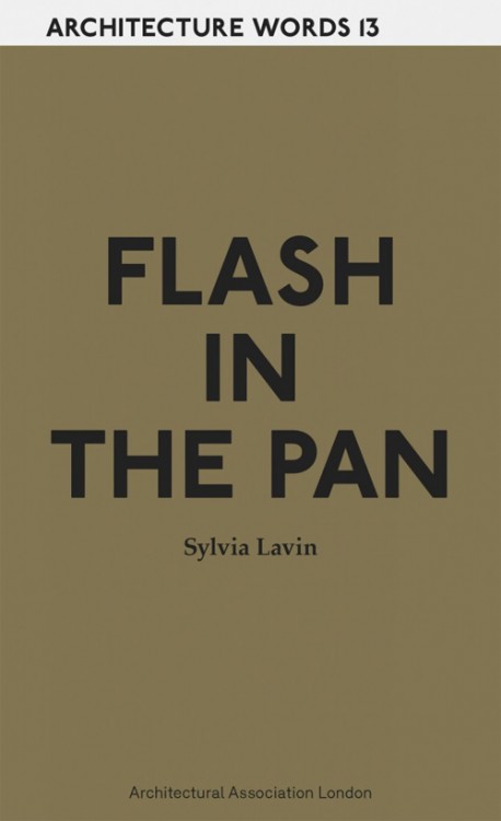 Architecture Words 13 Flash in the Pan