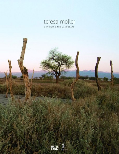 Teresa Moller Unveiling the Landscape