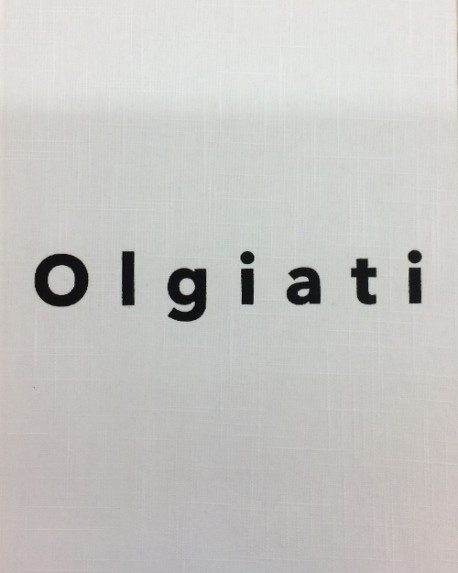 Valerio Olgiati Projects 2009–2017 English Edition