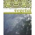 Arquitectura Vegetal Analogias