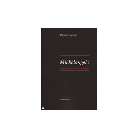 Michelangelo - aprendizagem da arquitectura