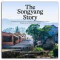 The Songyang Story - Architectural Acupuncture as Driver for Rural Revitalisation in China Projects by Xu Tiantian, DnA_Beijing