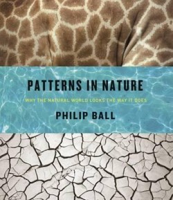 Patterns in Nature - Why the Natural World Looks the Way it Does