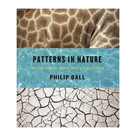 Patterns in Nature - Why the Natural World Looks the Way it Does