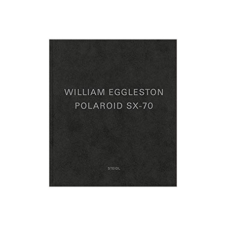 William Eggleston Polaroid SX-70
