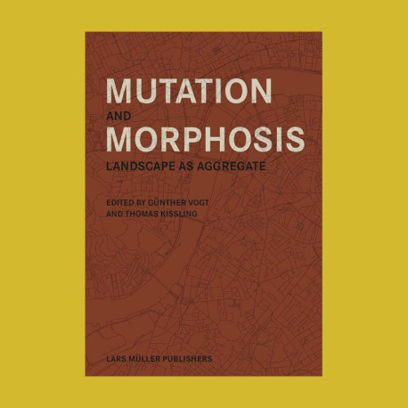 Mutation and Morphosis Landscape as Aggregate
