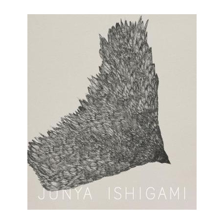 Junya Ishigami Serpentine Pavilion 2019