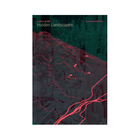 Hidden Landscapes