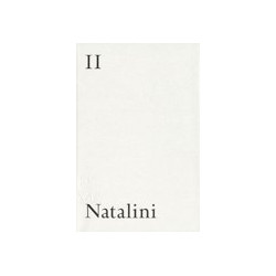 Sketchbook 12 and the Continuous Monument: Adolfo Natalini