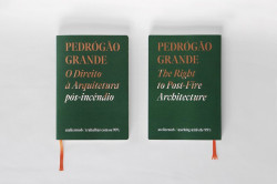 Pedrógão Grande: O Direito à Arquitetura Pós-Incêndio ateliermob/trabalhar com os 99%