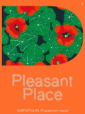 Pleasant Place 2: Nasturtiums  Tropaeolum Majus