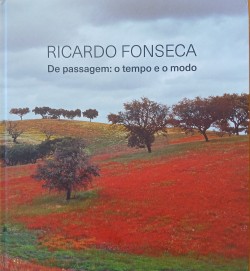 Ricardo Fonseca De Passagem: o Tempo e o Modo
