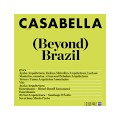 Casabella 980 April 2026  Beyond  Brazil