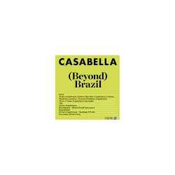 Casabella 980 April 2026  Beyond  Brazil