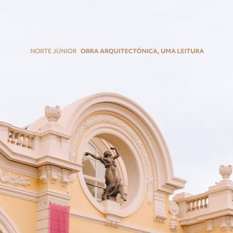Norte Júnior Obra Arquitectónica, Uma Leitura