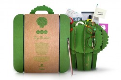 Manjerico Tony Bandeira