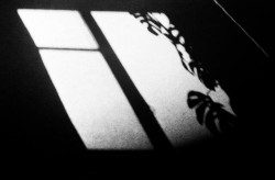 Série A minha Janela #3