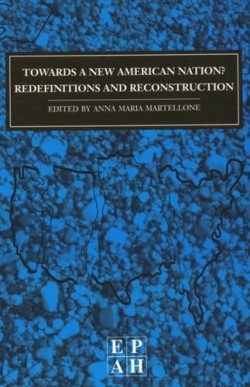 Towards a new american nation Redefinitions and reconstruction